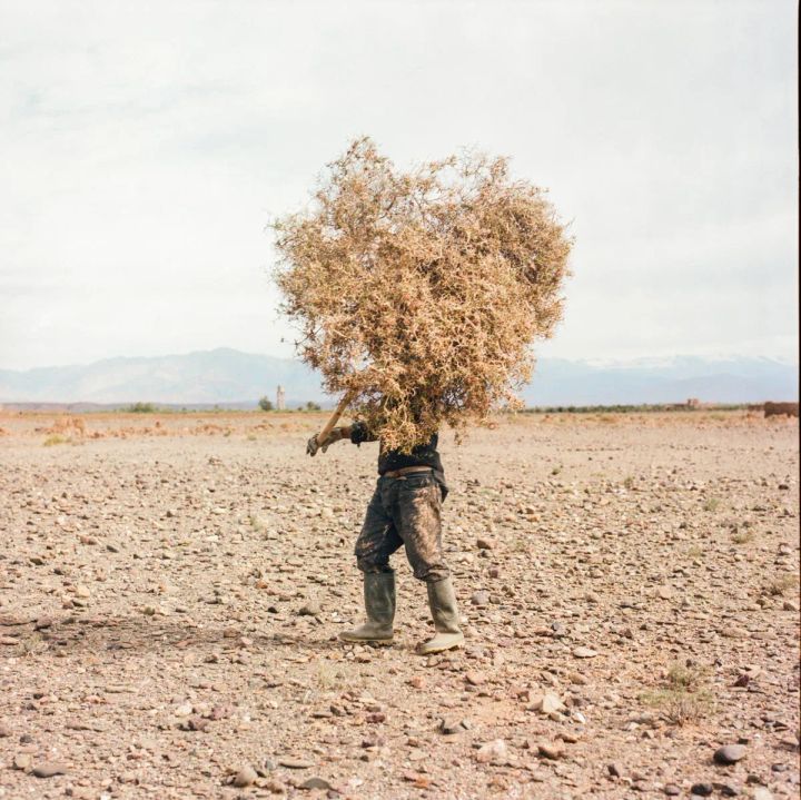 Before It’s Gone: M’hammed Kilito and the Disappearing Oases of Morocco