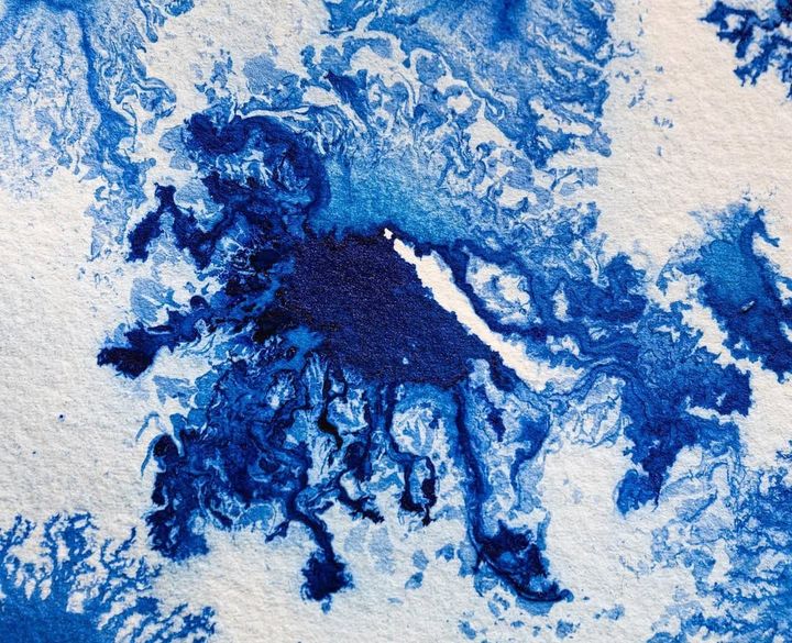 Zineb Mezzour: Finding Patterns Between Nature, Science, and Art