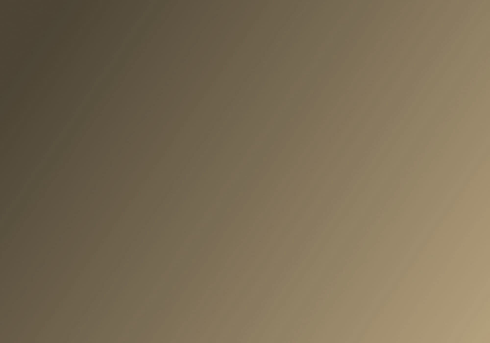 Astris Integrity Consulting
