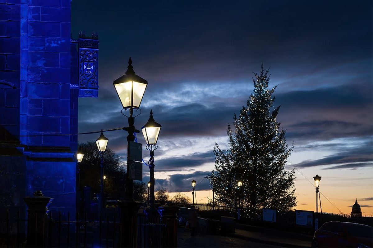 A Christmas tree lit-up at night with a city sky at dusk in the background. 
