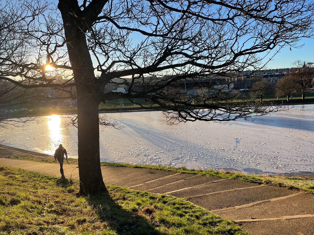 A person walking up some outdoor stairs next to a pond with a city skyline in the background. 