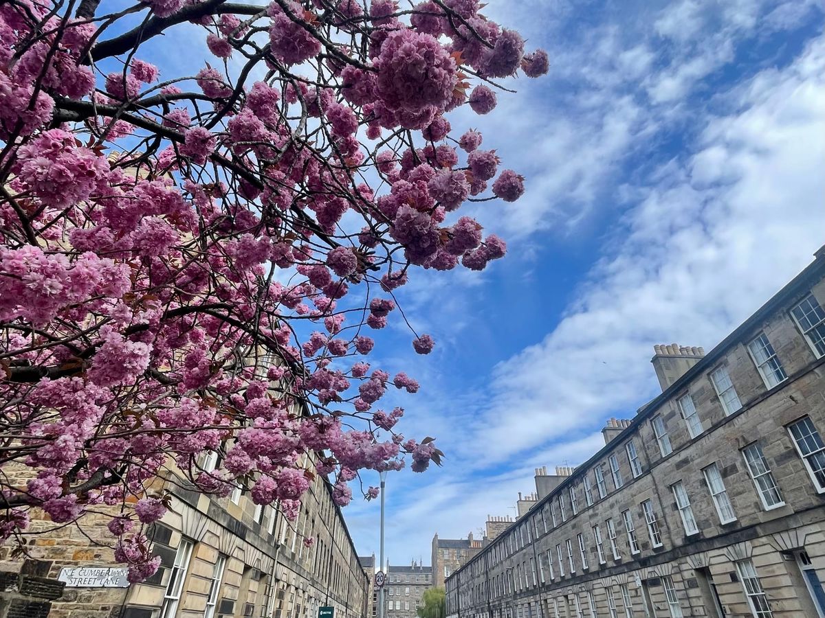 The Edinburgh Minute ⏰ Wednesday 1 April 2026