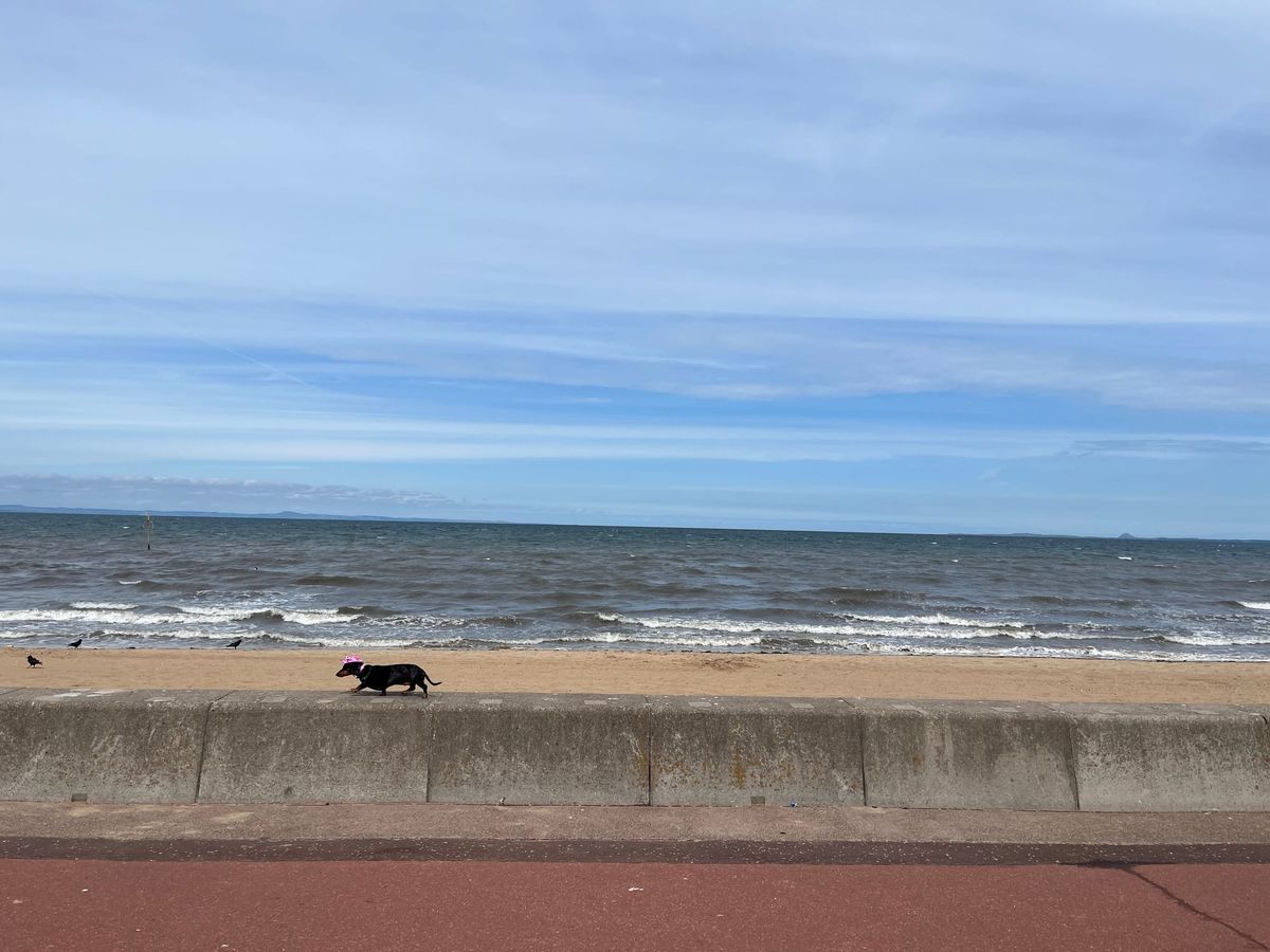 The Edinburgh Minute ⏰ Thursday 1 October 2026