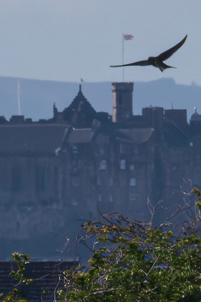 The Edinburgh Minute ⏰ Tuesday 1 July 2025