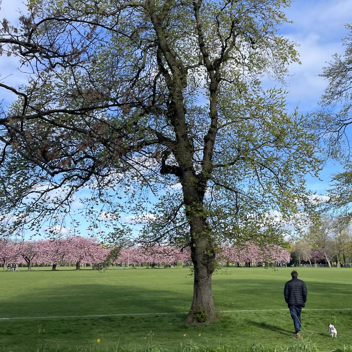 The Edinburgh Minute ⏰: Weekend edition 26 - 28 April 2024