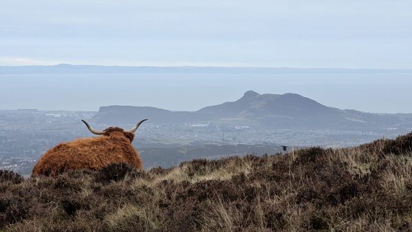 The Edinburgh Minute ⏰ Wednesday 31 December 2025