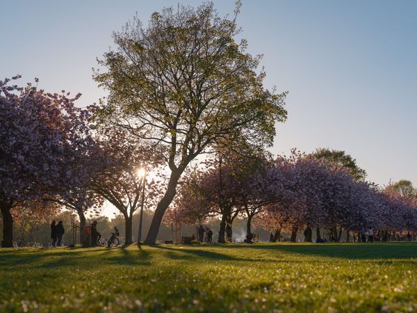 The Edinburgh Minute ⏰ Thursday 30 April 2026