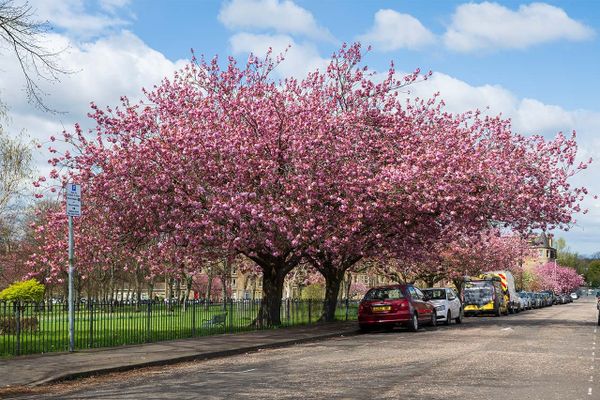 The Edinburgh Minute ⏰ Thursday 23 April 2026