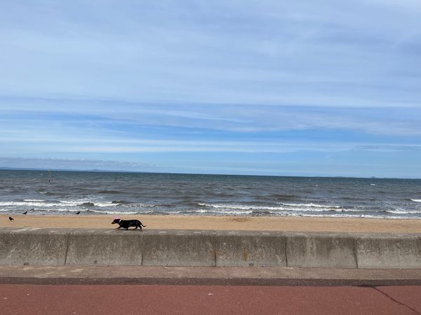 The Edinburgh Minute ⏰ Thursday 1 October 2026