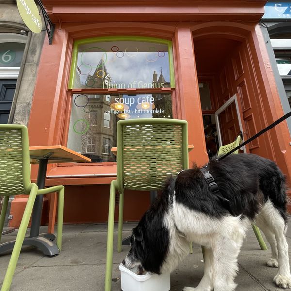 The Edinburgh Minute ⏰: Weekend edition 19-21 January 2024