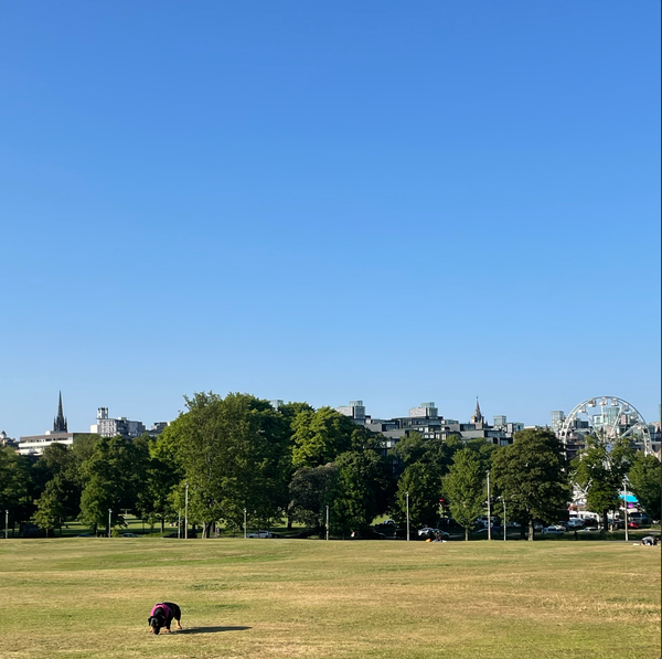 The Edinburgh Minute ⏰: Monday 5 June 2023