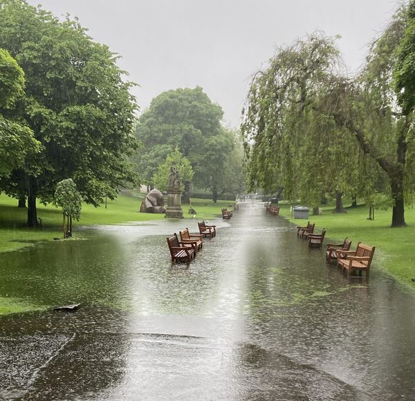 The Edinburgh Minute ⏰ Weekend edition 24 - 26 May 2024