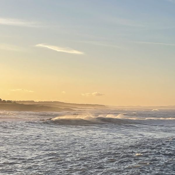 The Edinburgh Minute ⏰: Monday 23 October 2023