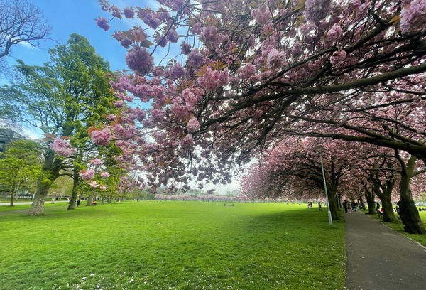 The Edinburgh Minute ⏰: Tuesday 9 May 2023