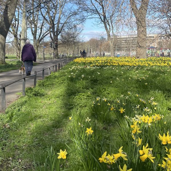 The Edinburgh Minute ⏰: Tuesday 26 March 2024