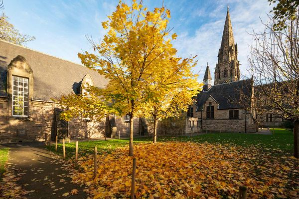 The Edinburgh Minute ⏰ Wednesday 6 November 2024
