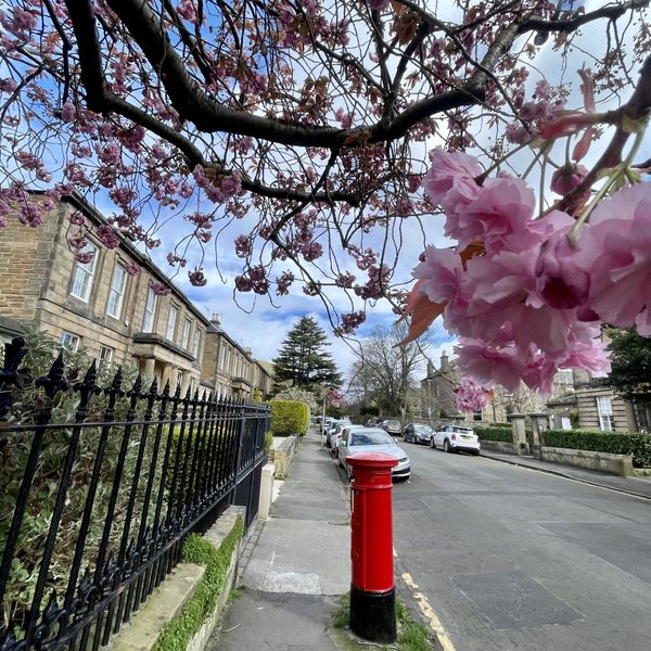 The Edinburgh Minute ⏰: Tuesday 16 April 2024