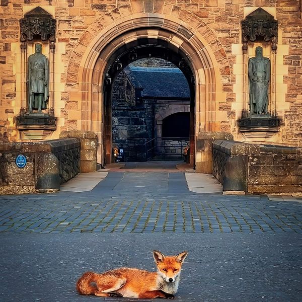 The Edinburgh Minute ⏰: Tuesday 15 August 2023