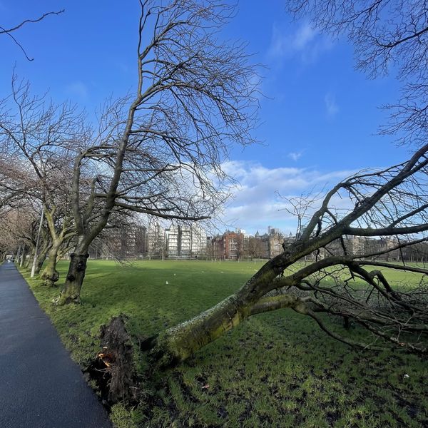 The Edinburgh Minute ⏰: Tuesday 23 January 2024