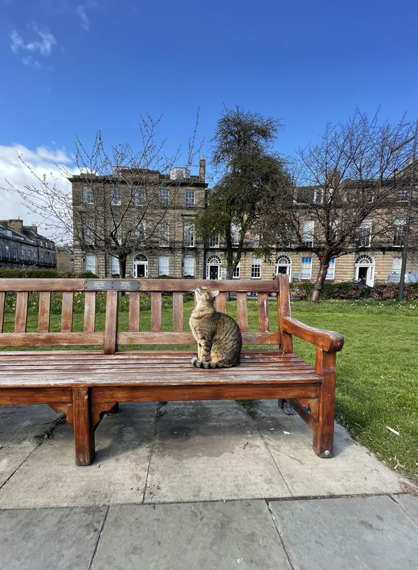 The Edinburgh Minute ⏰: Wednesday 10 May 2023