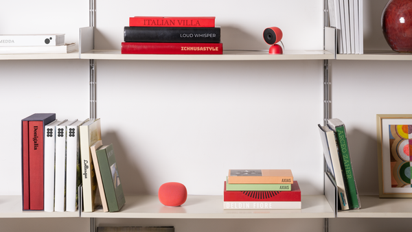 A photo of the smart speaker and indoro camera on a shelf with matching red things around it