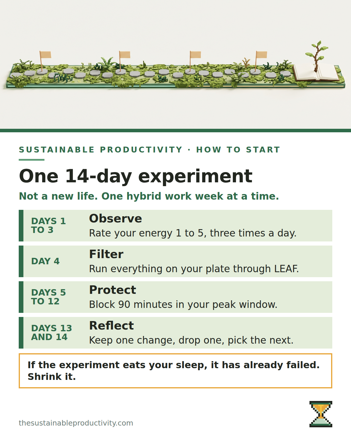 Infographic of a 14-day experiment: observe on days 1 to 3, filter on day 4, protect on days 5 to 12, reflect on days 13 and 14.