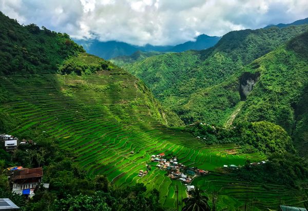 Lush wide landscape of rice terraces in Banaue, Philippines