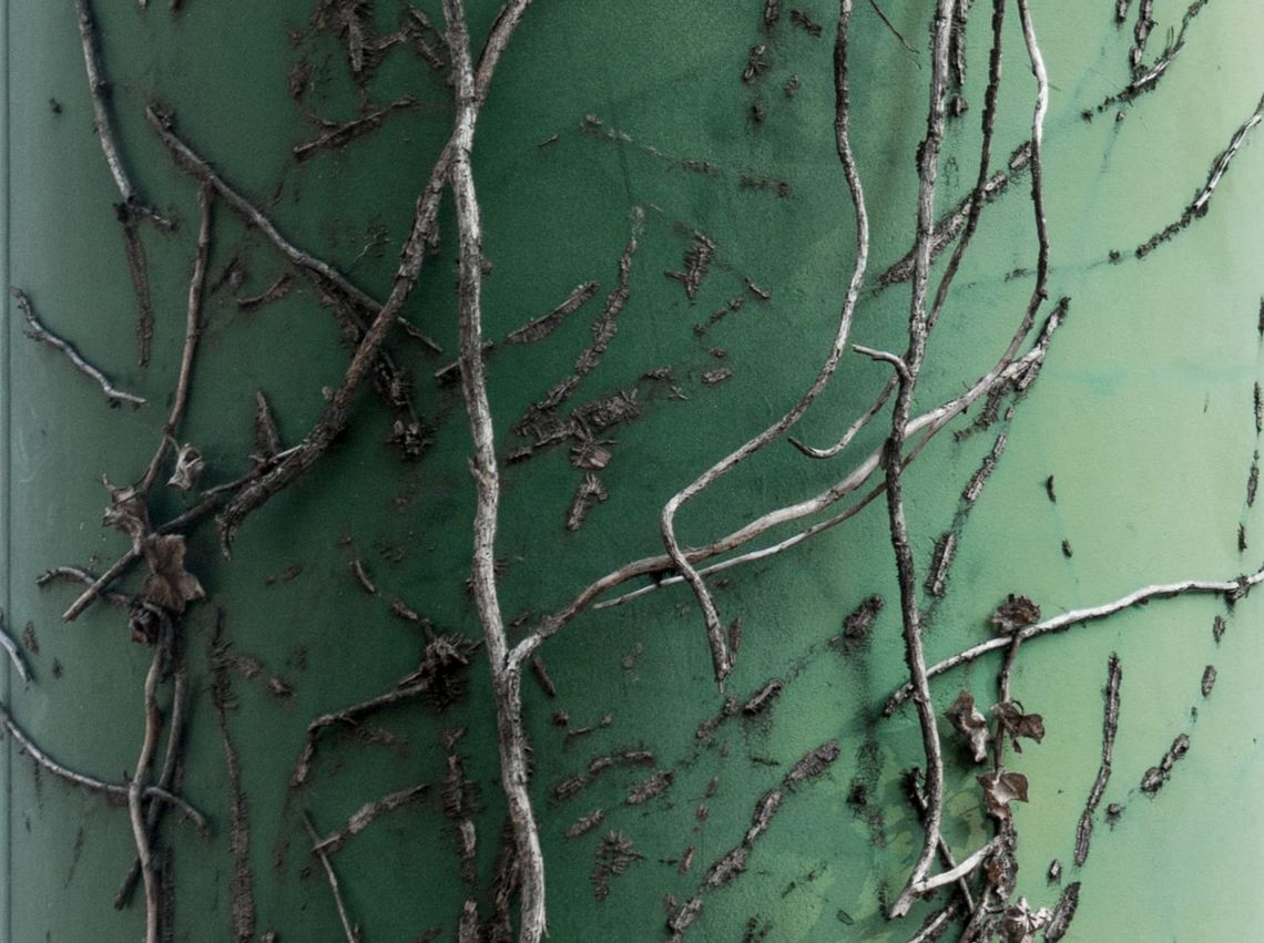 Dead Vines on Green Pole, 8-21-2016
