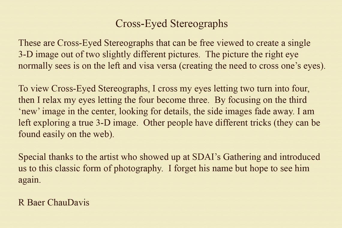 Gallery: Cross-Eyed Stereographs, 2026