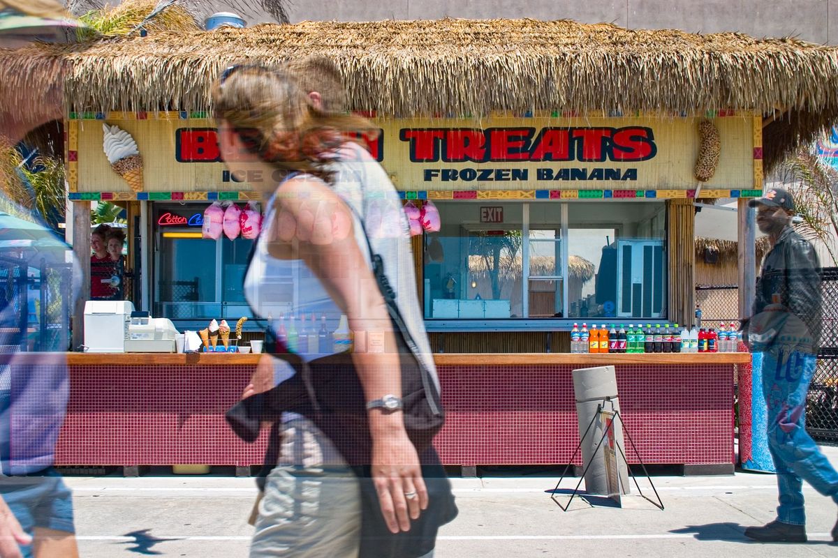 Web Diary 2/06/04 to 5/30/05