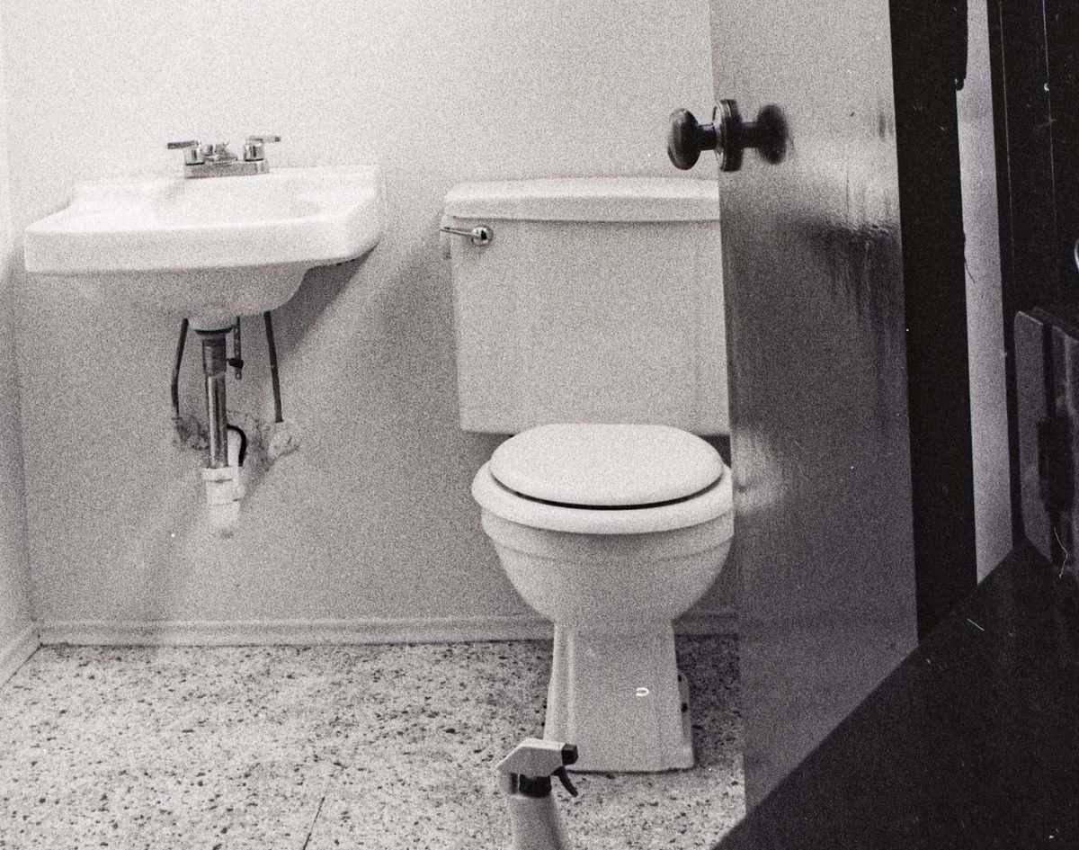 Cleaning the Master Bathroom, 1990 or so