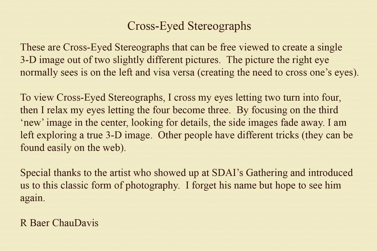 Gallery: Cross-Eyed Stereographs, 2026