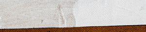 Tannin Bleed Test Results