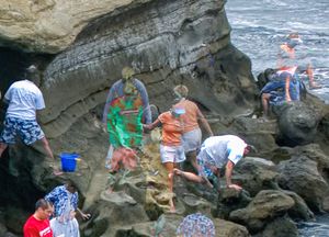 Cove Reworked, 6-5-2005