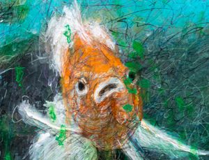 Goldfish, 7-1-2025