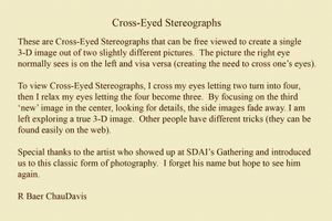 Gallery: Cross-Eyed Stereographs, 2026