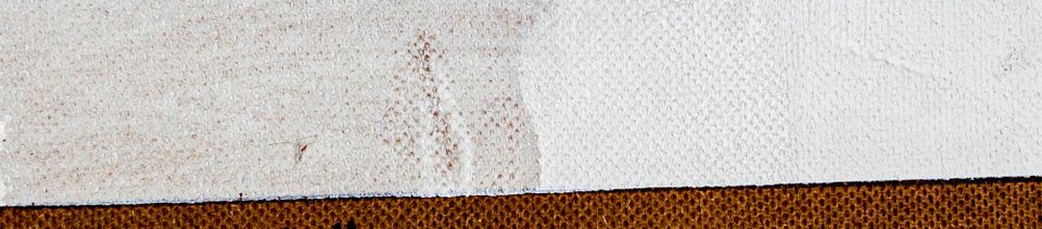 Tannin Bleed Test Results