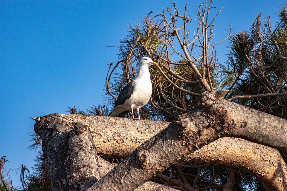 Image work ups, 4-5-2020