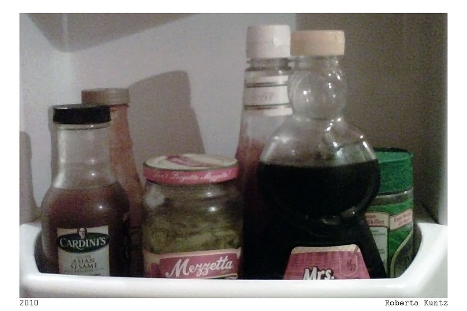 Vacancy 3, Fridge Pics, 7-11-2010