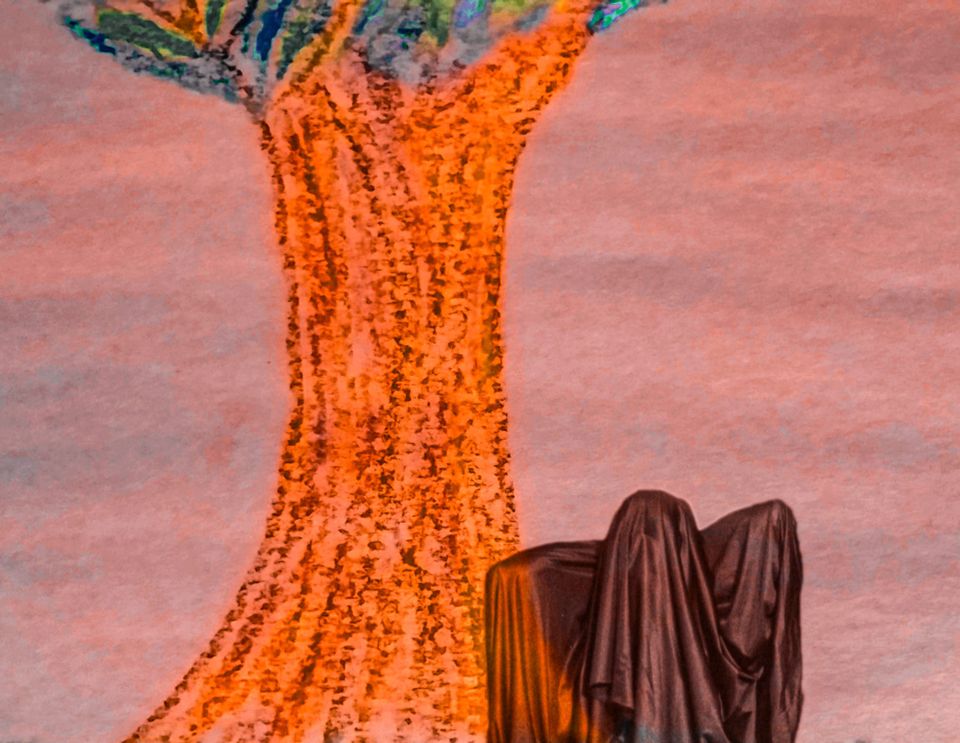 Orange Tree, 8-21-2017