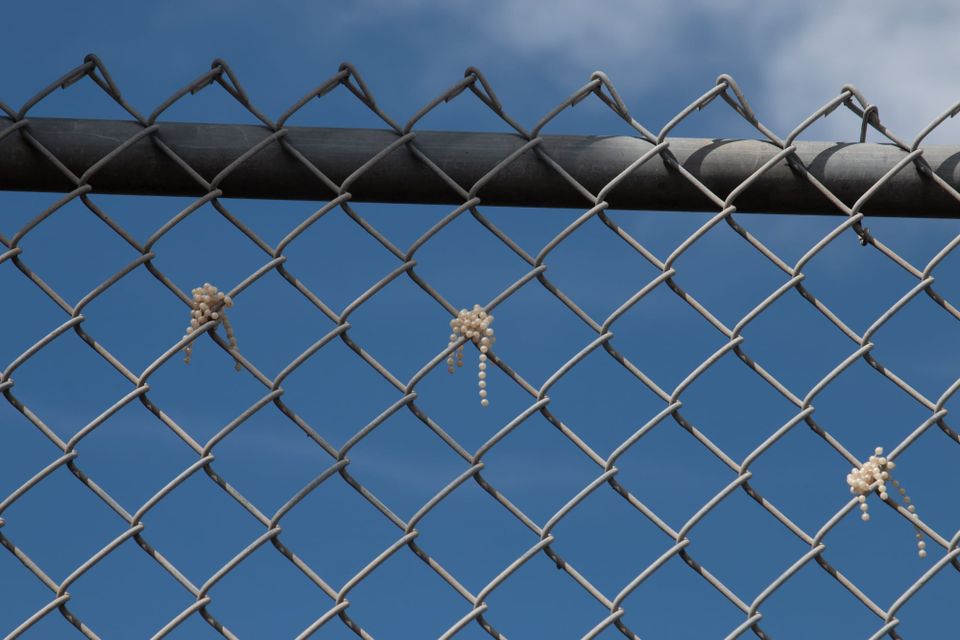 The Fence at Gage Elementary, 06-02-2021