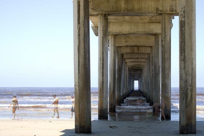 Another SFW Public Newsletter, 3-24-2025