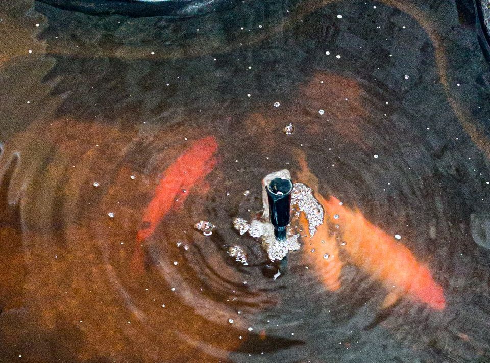 Baer's Complete Reveal, 05-19-2025