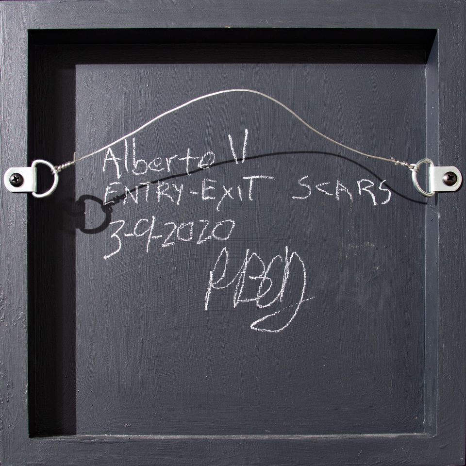 'Alberto V Entry-Exit Scars, 3-9-2020,' Looking for a Home, Inventory Clearance, 6-1-2026