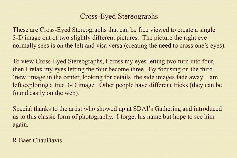 Gallery: Cross-Eyed Stereographs, 2026