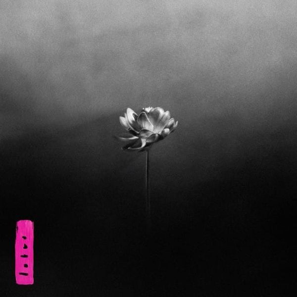 Needle Drop Record: Lotus