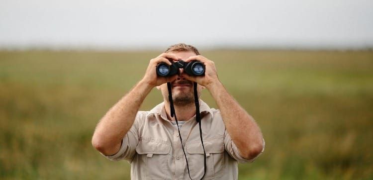 The Case for Birdwatching — Seriously!
