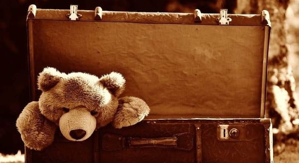 When the Children Leave: The Empty Nest and What It Stirs Up
