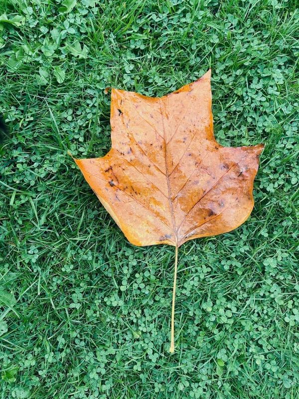 Messages from the Ground