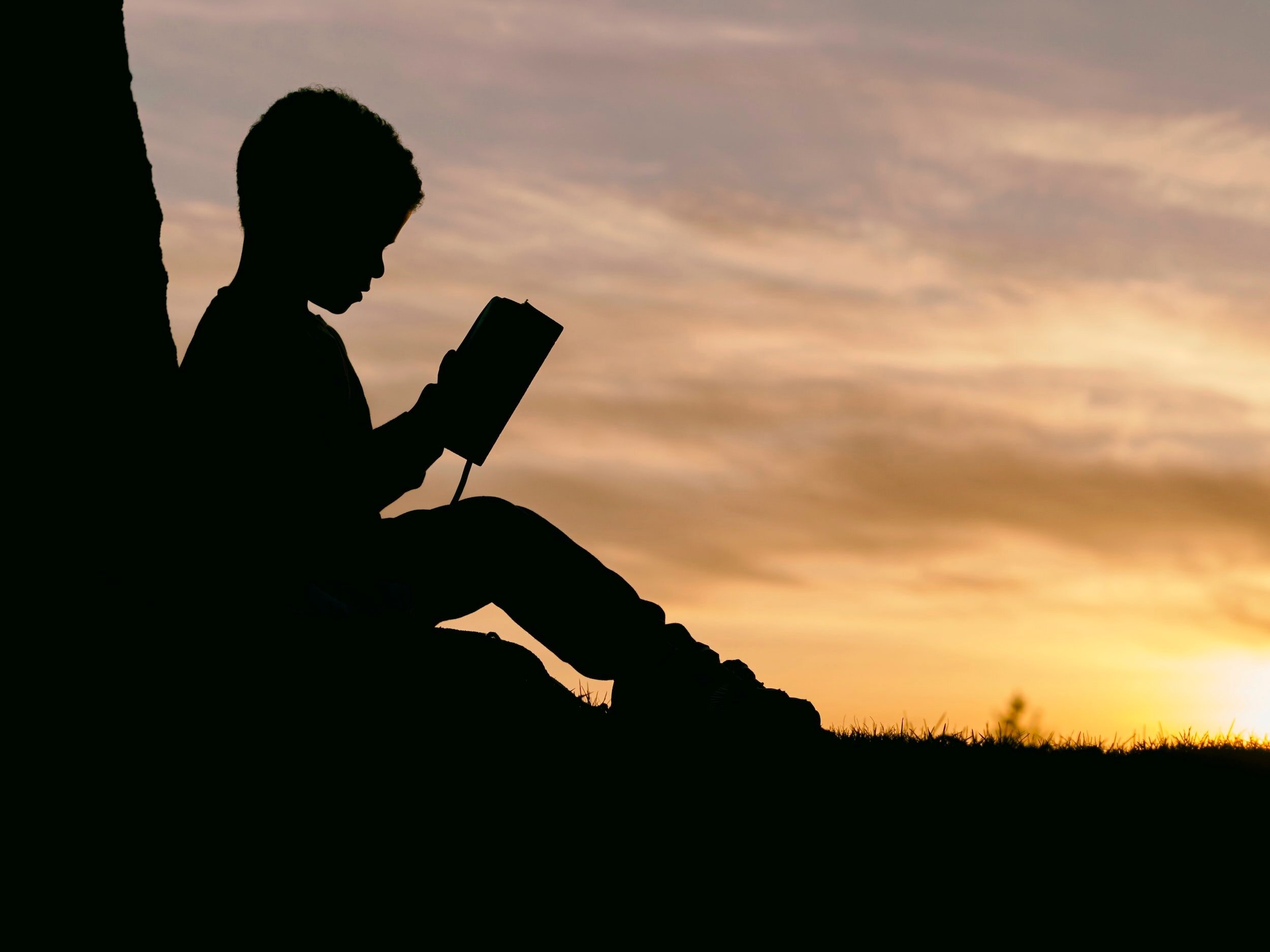 A young boy sit in the shadows leaning up against a tree reading a book with the sunset in the distance